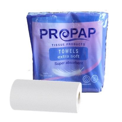 Papirnati ručnici Propap dvoslojni, 2 role