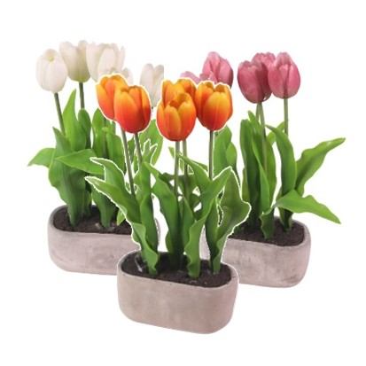 Tulipani u posudi 29 cm